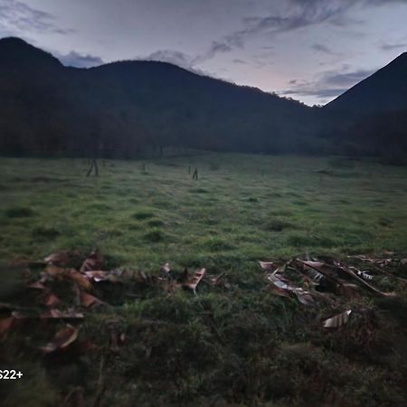 Tio Felix Eco Lodge La Fortuna Eksteriør bilde