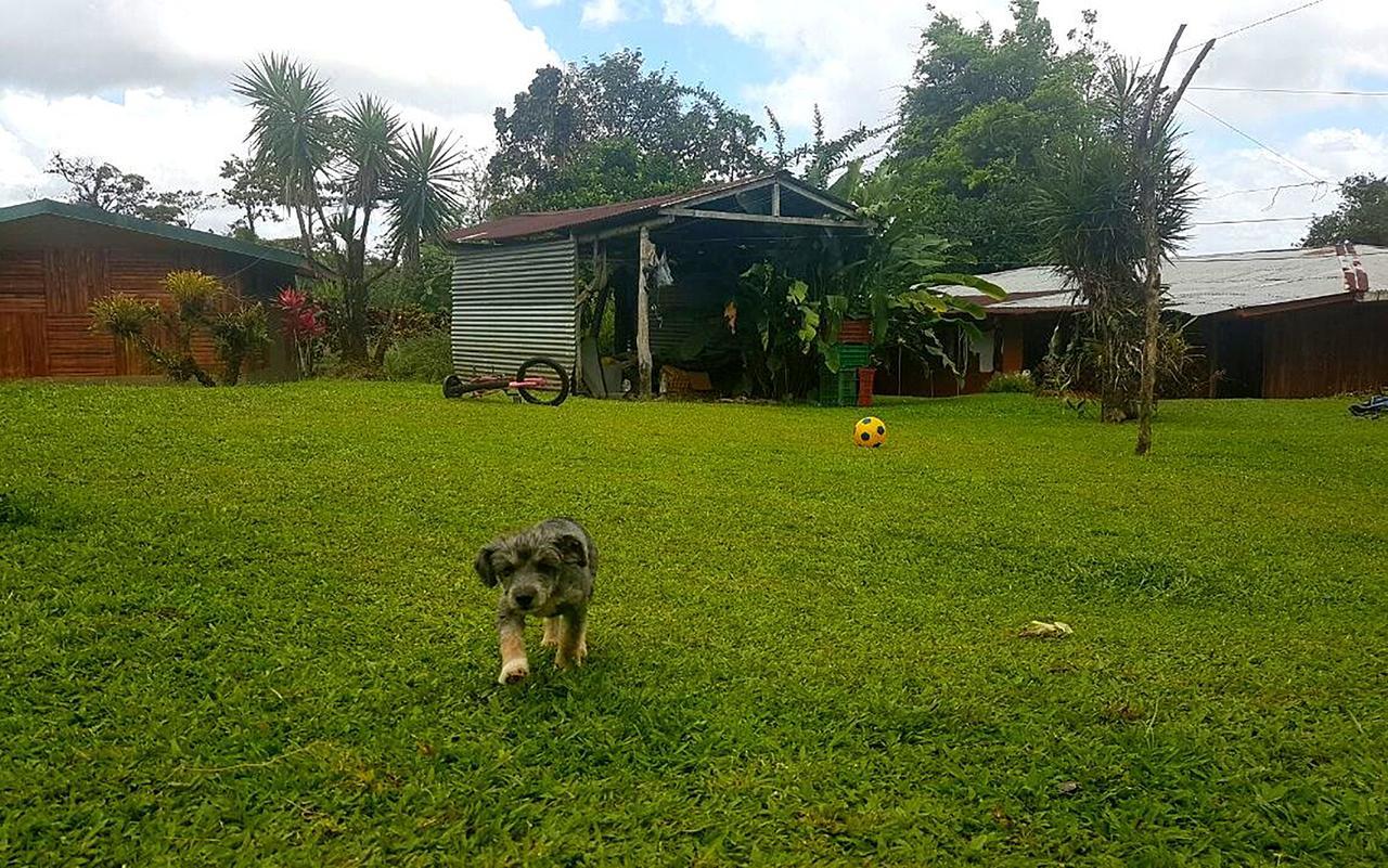 Tio Felix Eco Lodge La Fortuna Eksteriør bilde
