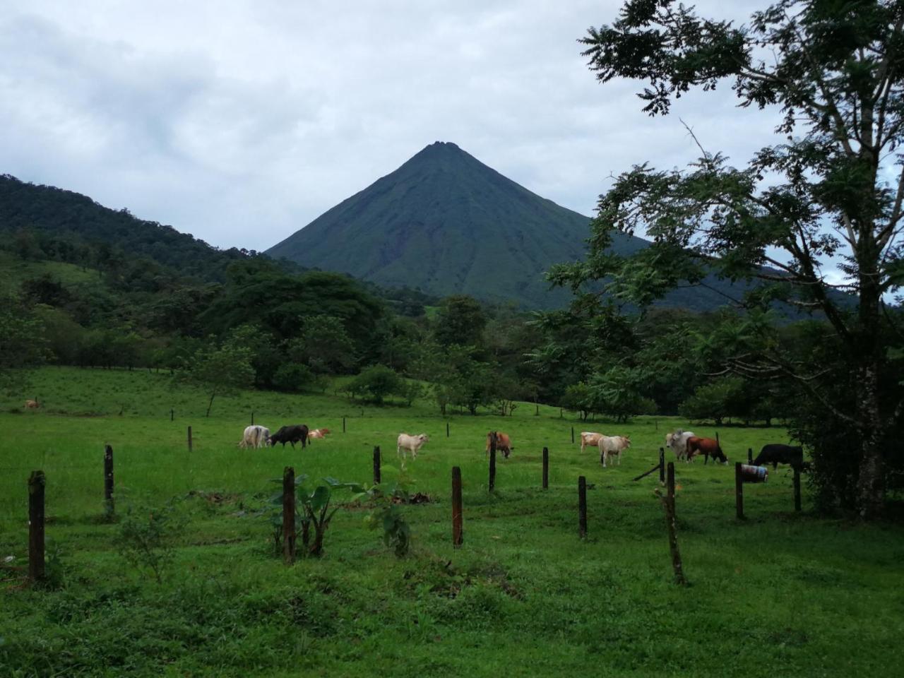 Tio Felix Eco Lodge La Fortuna Eksteriør bilde