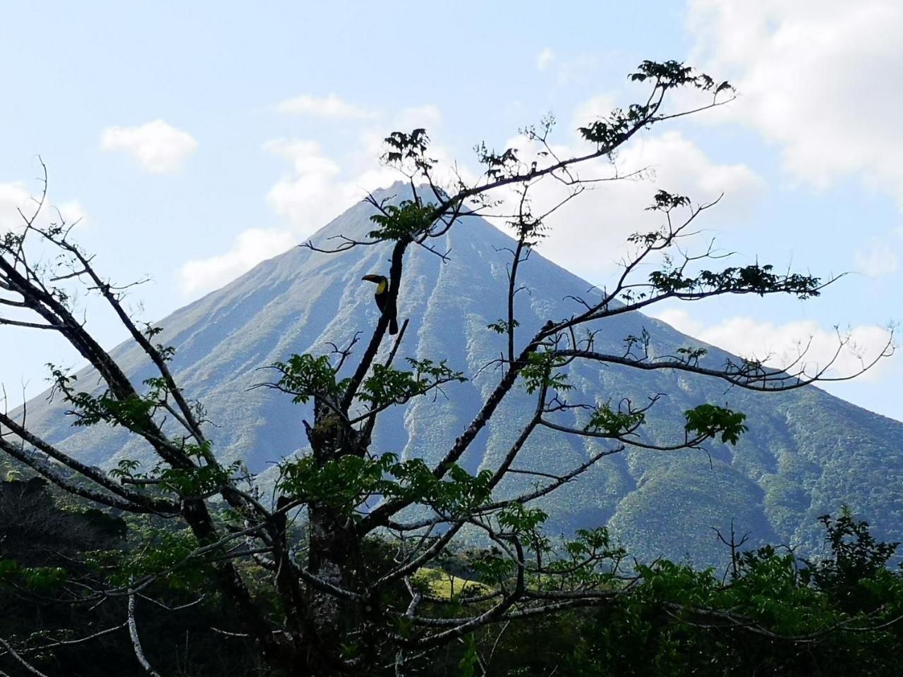 Tio Felix Eco Lodge La Fortuna Eksteriør bilde